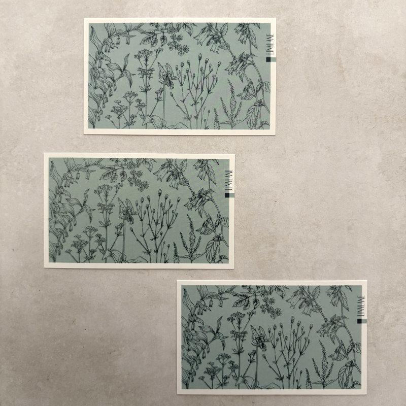 Botanical Collage Cards: Wildflowers