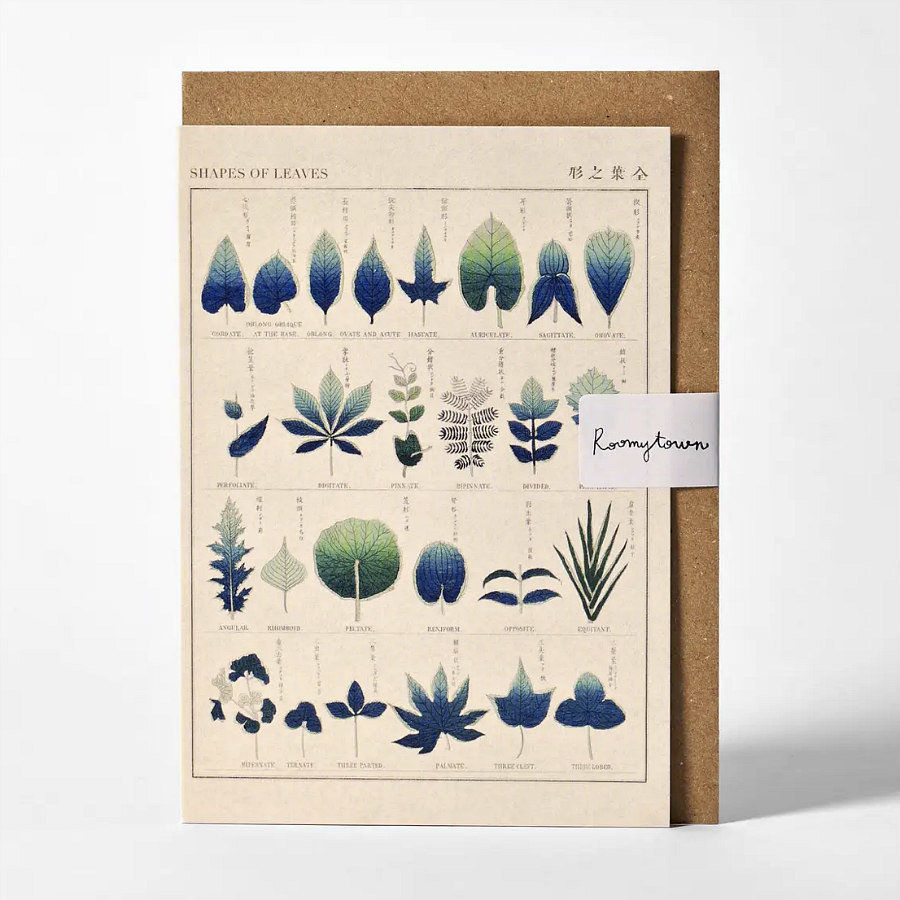 Note Card: Shapes of Leaves