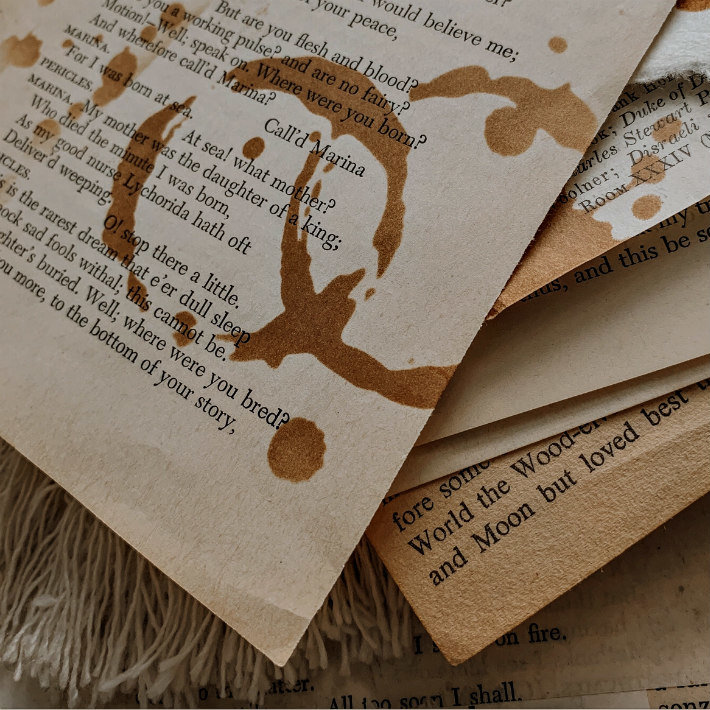 Savannah Scribbles Paper Bundle: Coffee