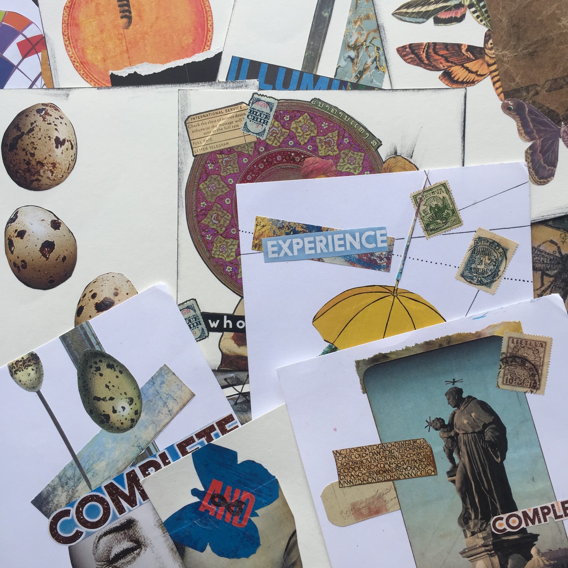 Collage Camp Online Class