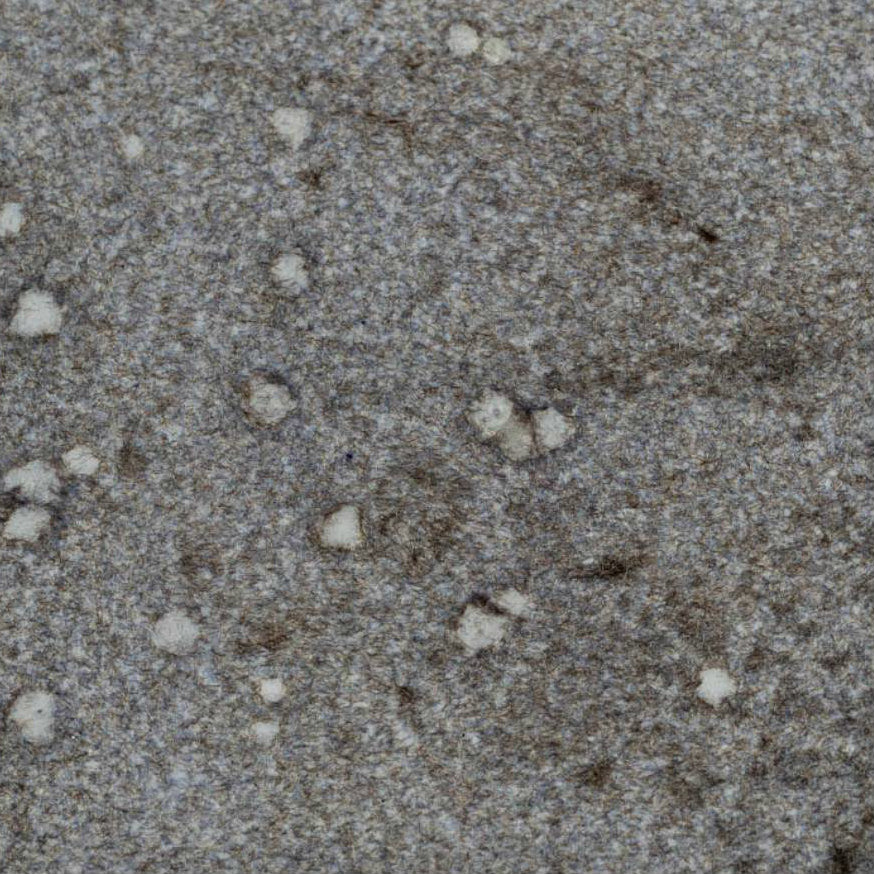 WOW Embossing Powder Duo: Smoked Parchment