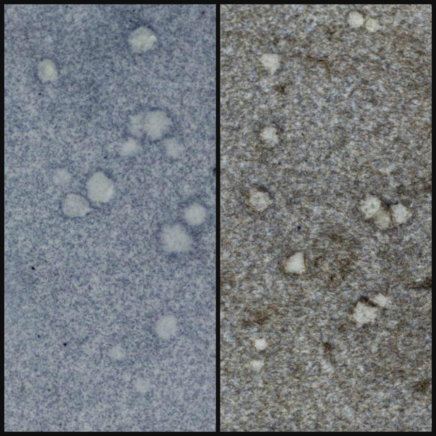 WOW Embossing Powder: Stonewashed