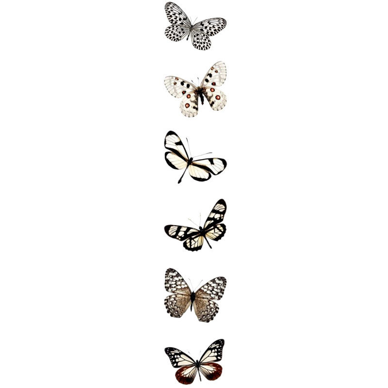 Studio Light Transparent Stickers: Butterfly