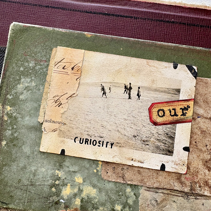 The Shores of Curiosity: Original Mixed Media Art