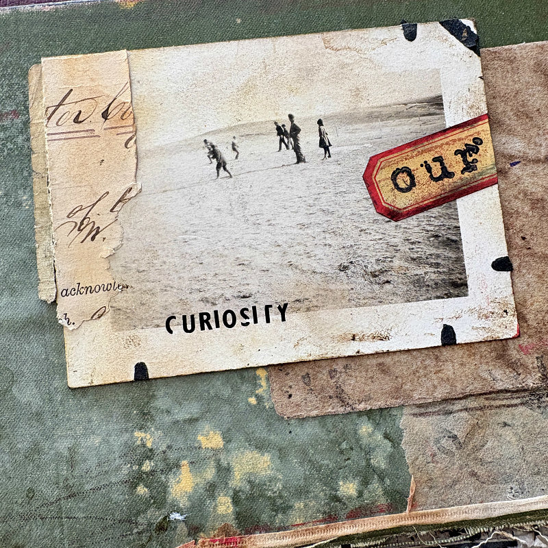 The Shores of Curiosity: Original Mixed Media Art