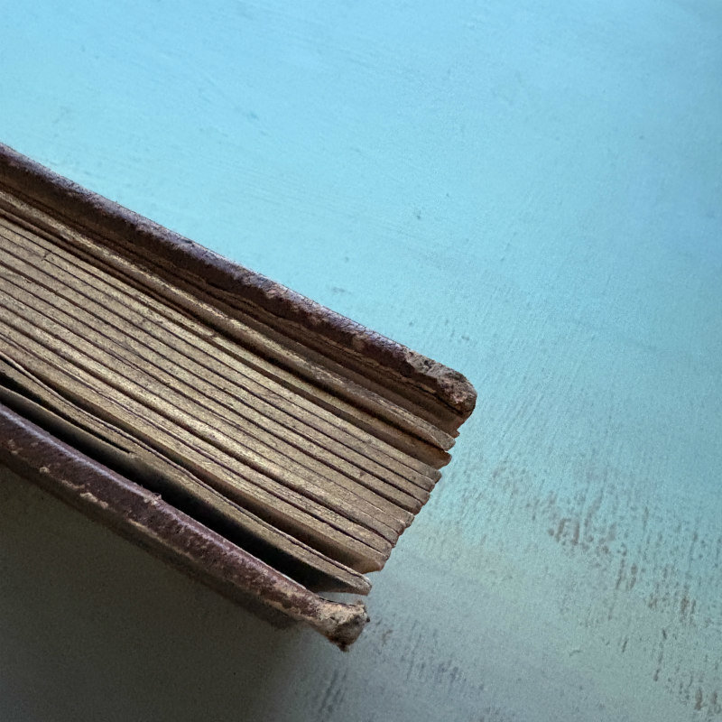 SOLD: Antique Tintype Album