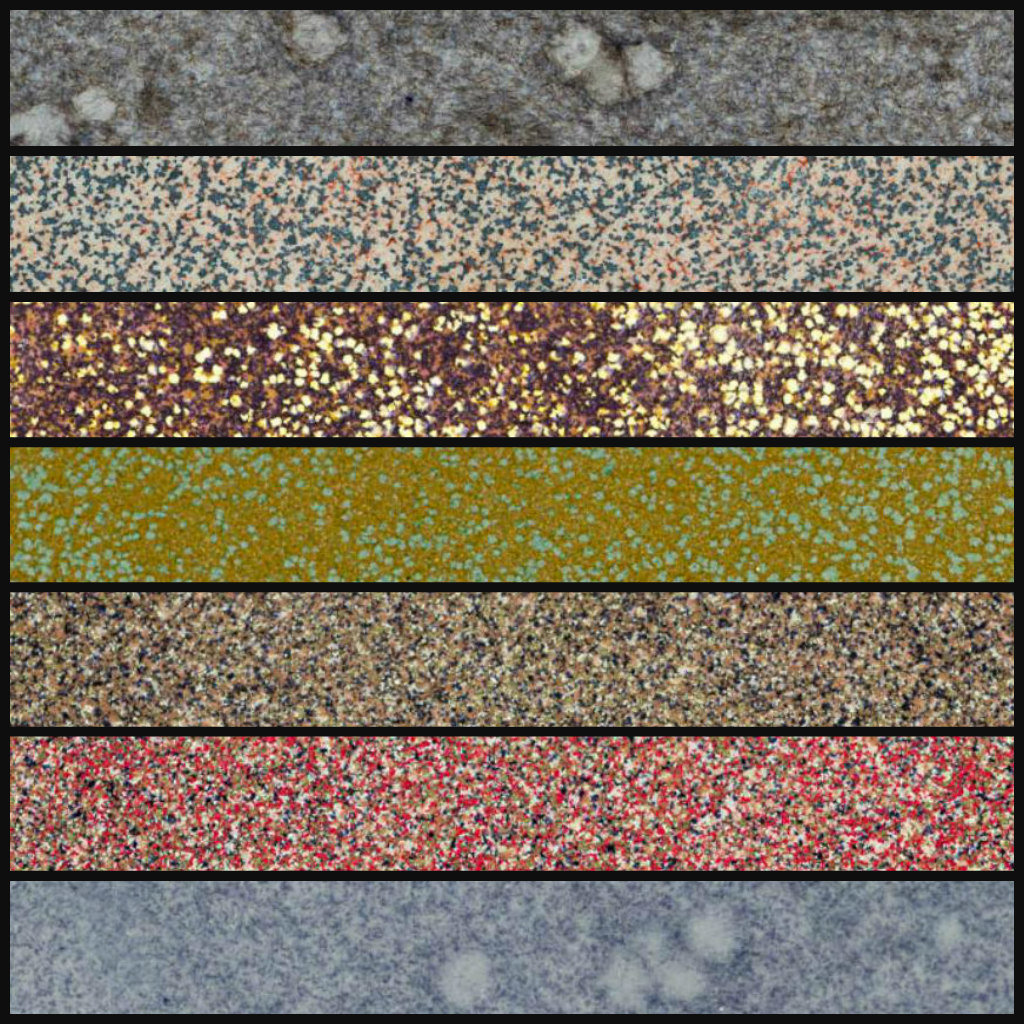 WOW Embossing Powder FULL COLLECTION: Traces of Time
