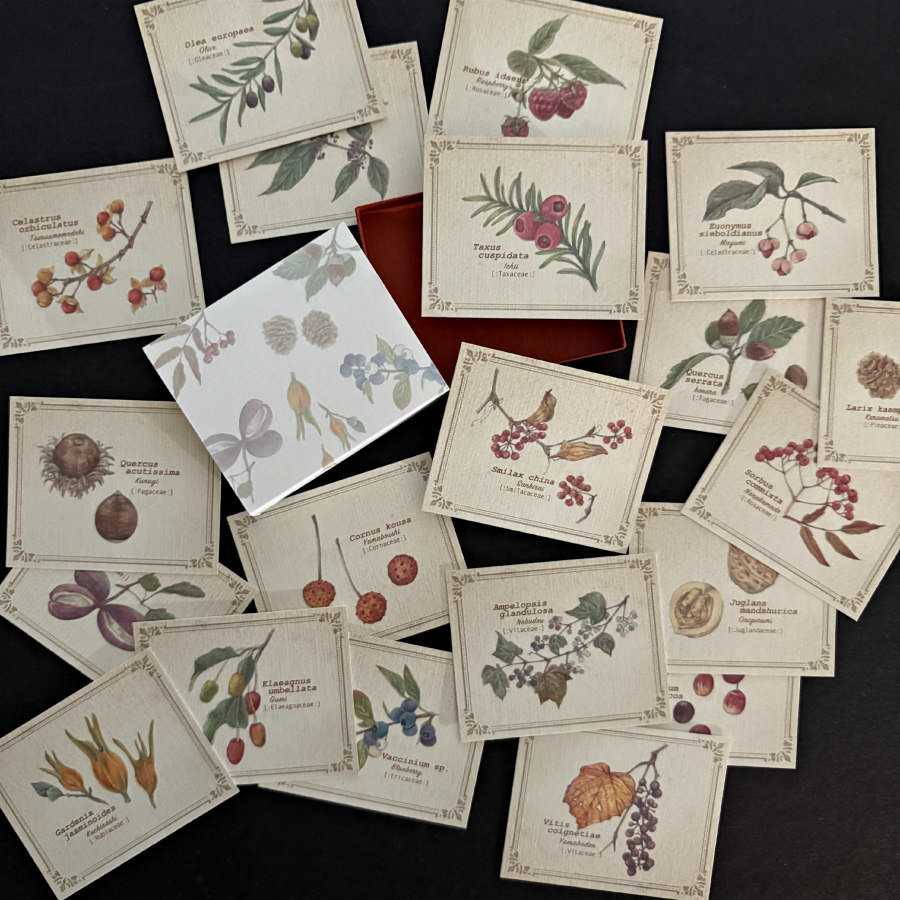 Vintage-Style Cards in Slide Box: Tree Nuts