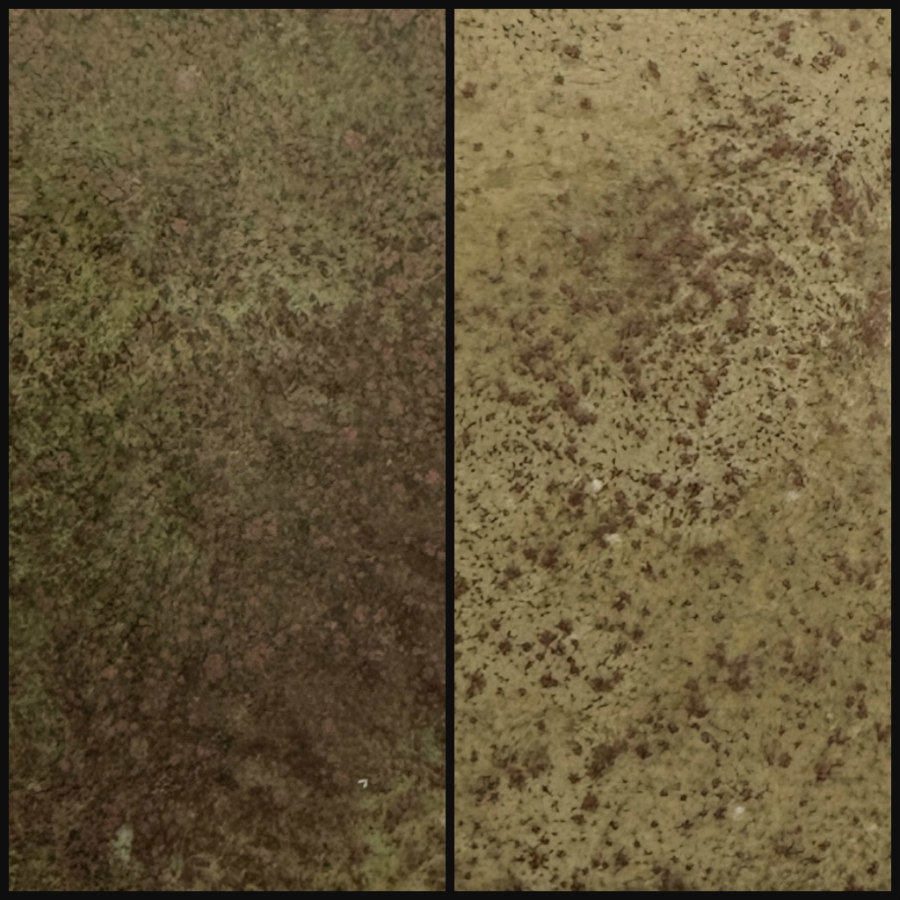 WOW Embossing Powder Duo: Natures Alloy