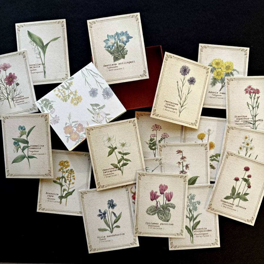 Vintage-Style Cards in Slide Box: Wild Flowers