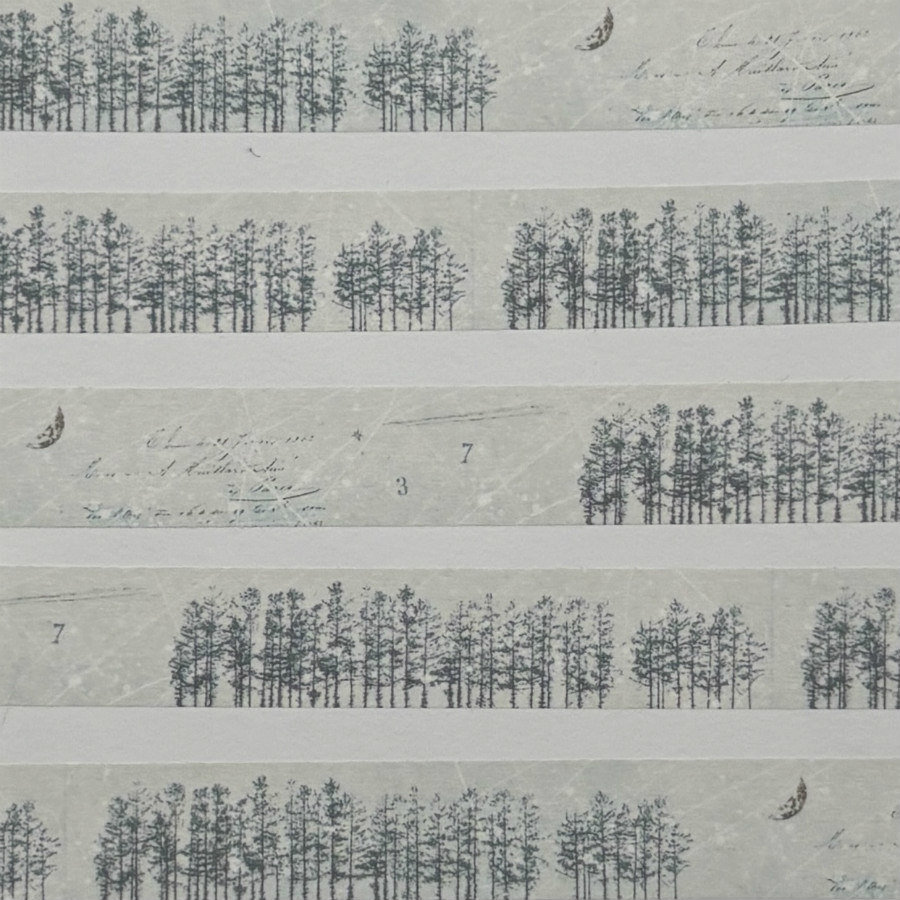 Yohaku Washi Tape: Hoshimeguri