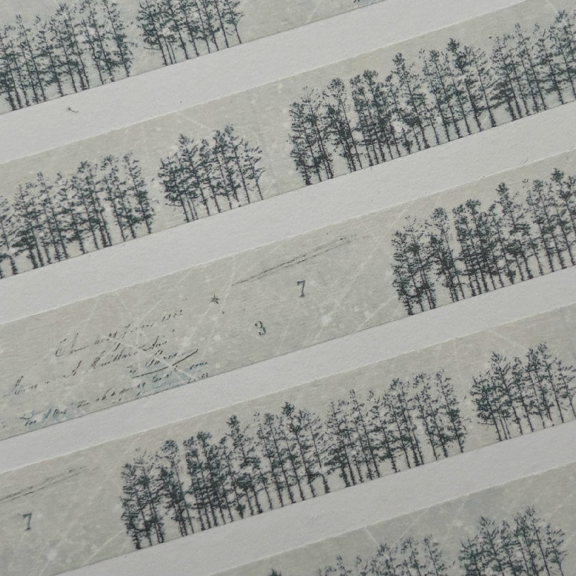 Yohaku Washi Tape: Hoshimeguri