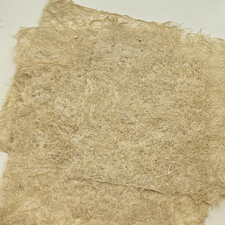 Natural Handmade Paper: Corn Husk