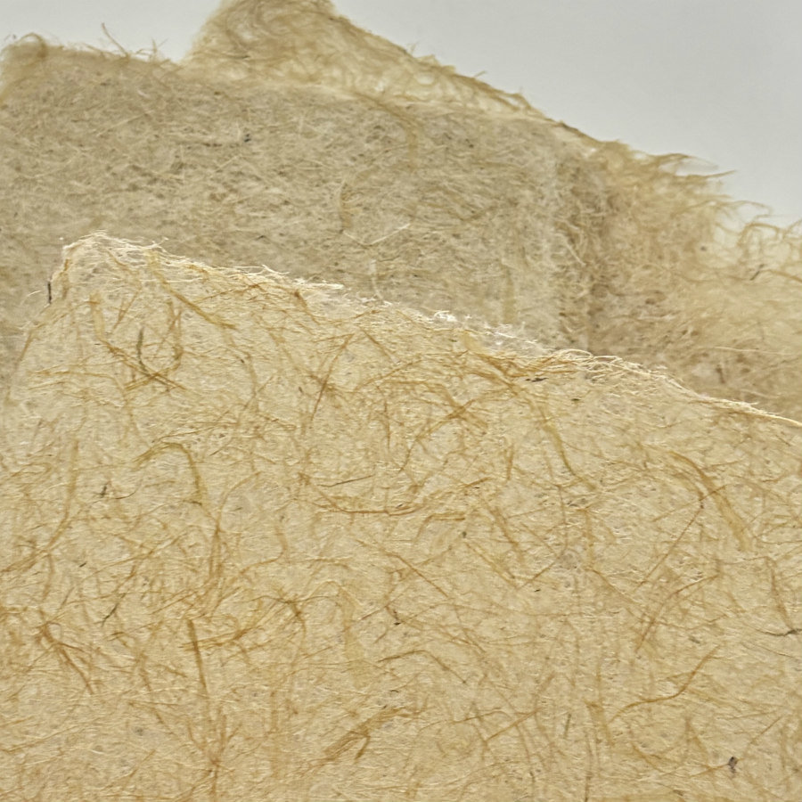Natural Handmade Paper: Corn Husk