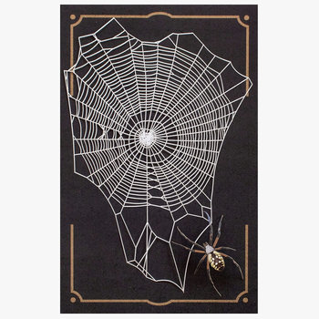 NEW: Spiderweb & Spider Duo: Weaver
