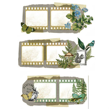 Katie Pertiet for Arden Creative Studio PET Tape: Hidden Creek