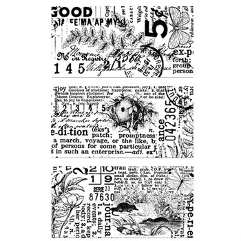 Katie Pertiet for Arden Creative Studio PET Tape: Hidden Creek Journal