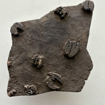 Vintage Print Block Large 4