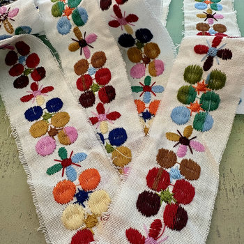 Embroidered Trim Fabric Ribbon: Fields of Color