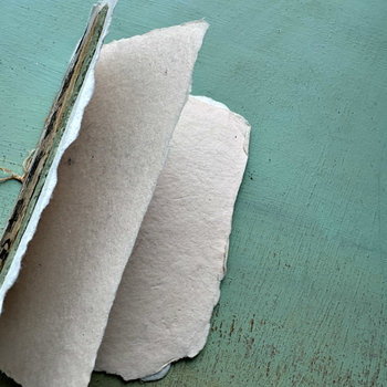 Book Bits: Chapter One