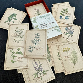 Vintage-Style Cards in Slide Box: Herbs 