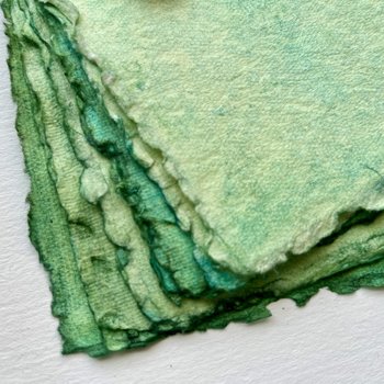 Monahan Papers Handmade Deckled Edged Paper: Moss