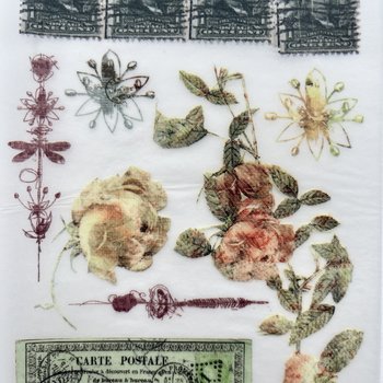Prima Rub-On Transfer: Vintage Botanical