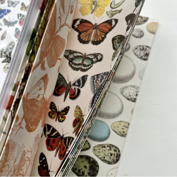 Pepin Press Gift & Creative Papers: Natural History