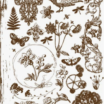 Prima Rub-On Transfer: Flocked Botany