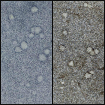 WOW Embossing Powder Duo: STONEWASHED